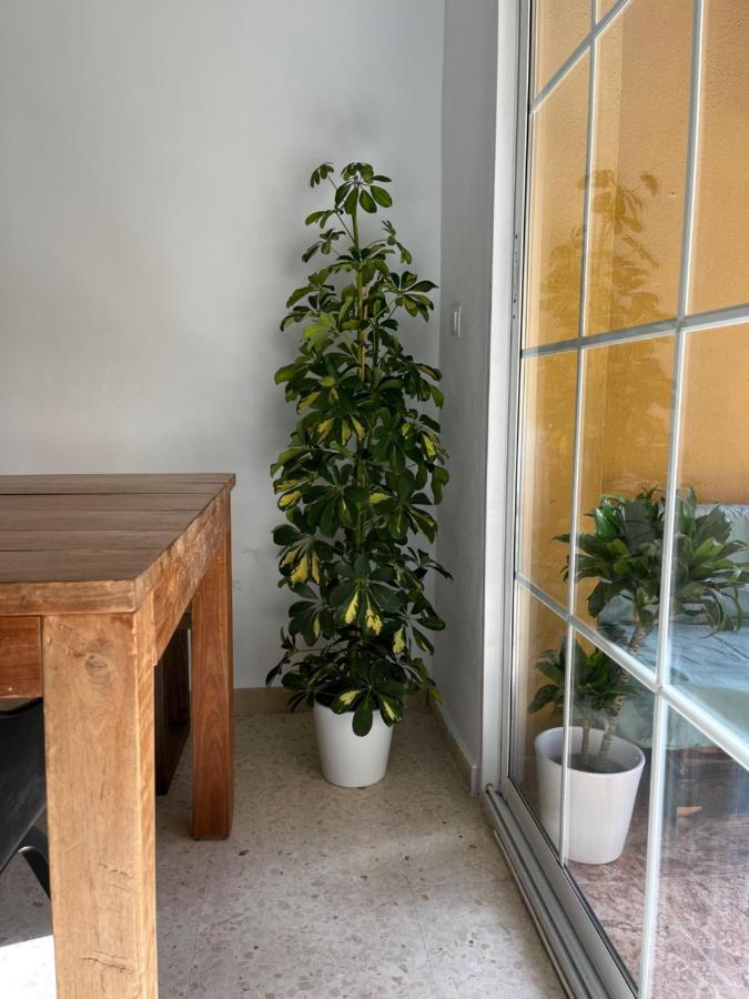 Apartamento La Biznaga Malaga Zewnętrze zdjęcie