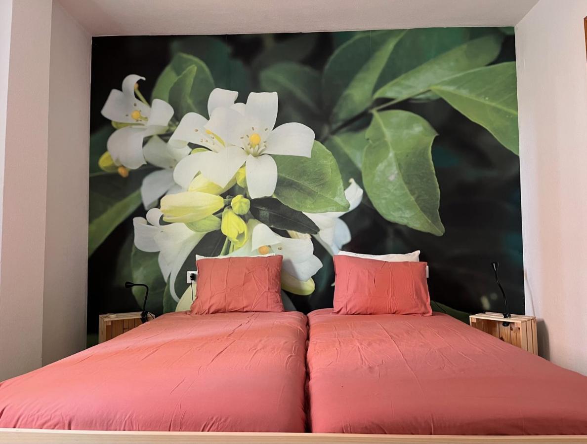 Apartamento La Biznaga Malaga Zewnętrze zdjęcie