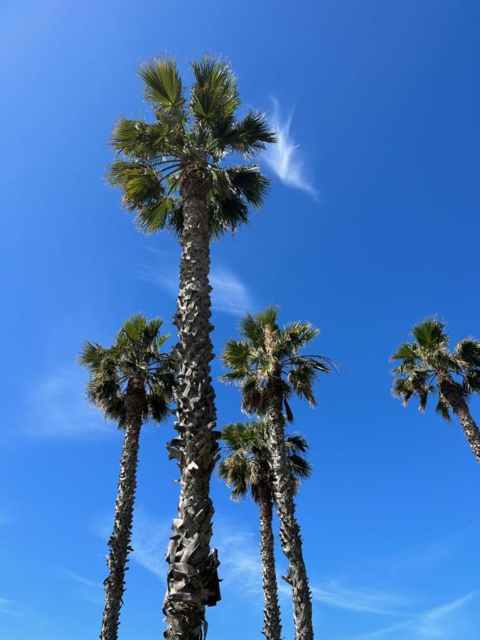 Apartamento La Biznaga Malaga Zewnętrze zdjęcie